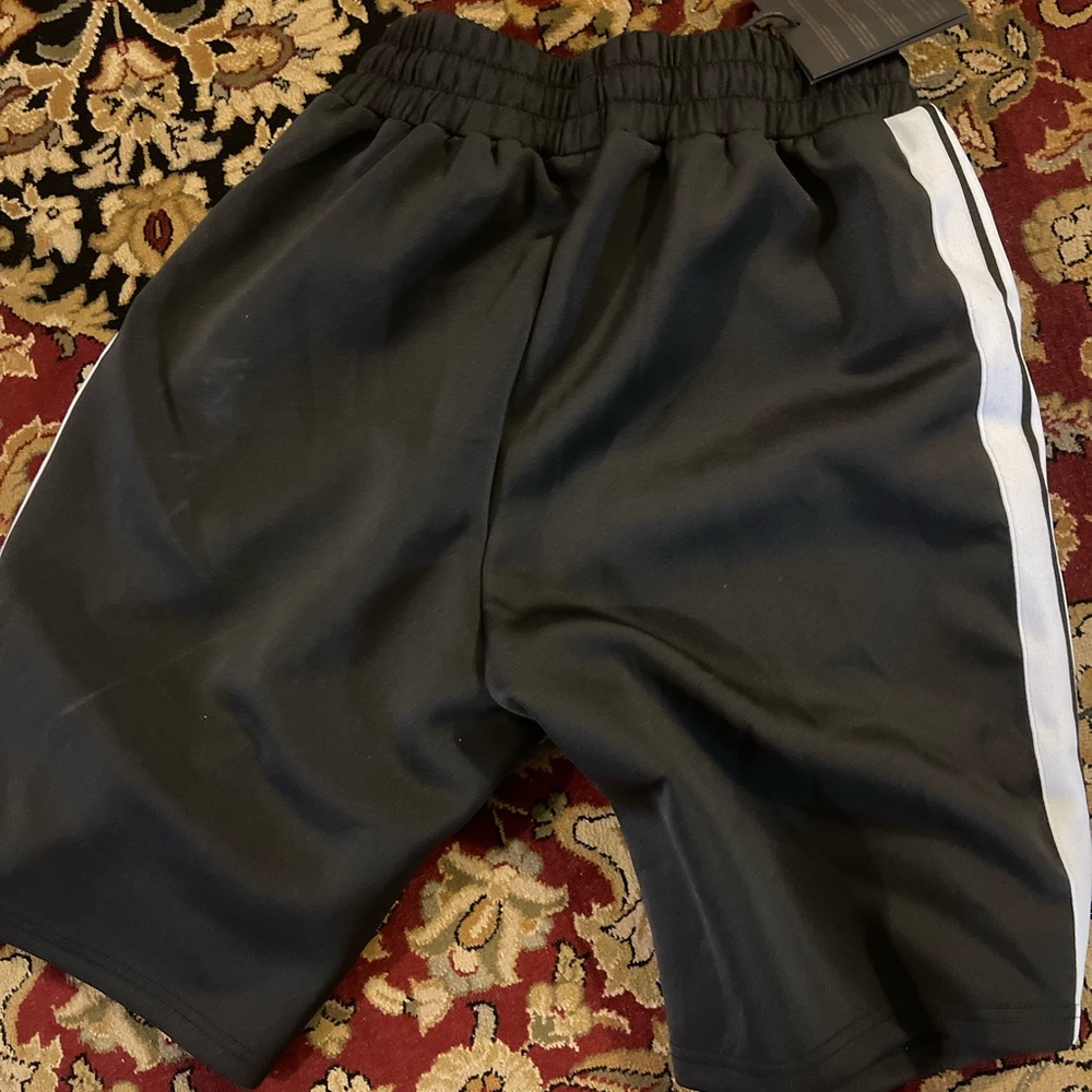 Palm angle shorts